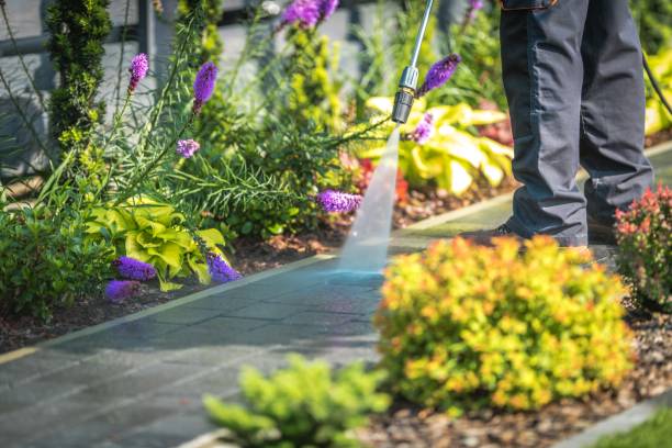 Reliable Vergennes, VT  Pressure Washing Services Solutions